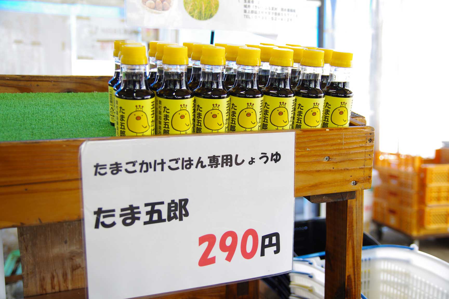 IMGP8339